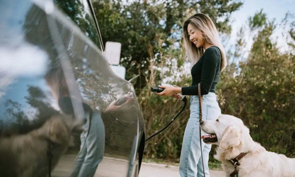 2024 Canadian Electric Vehicle Rebates